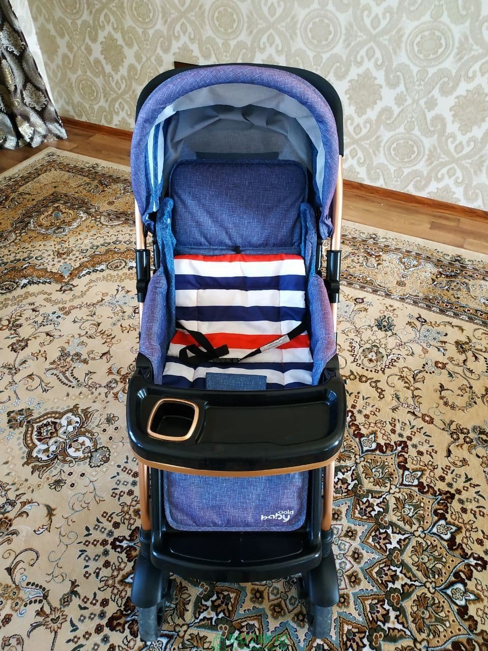 Детская коляска чемодан Golden Baby