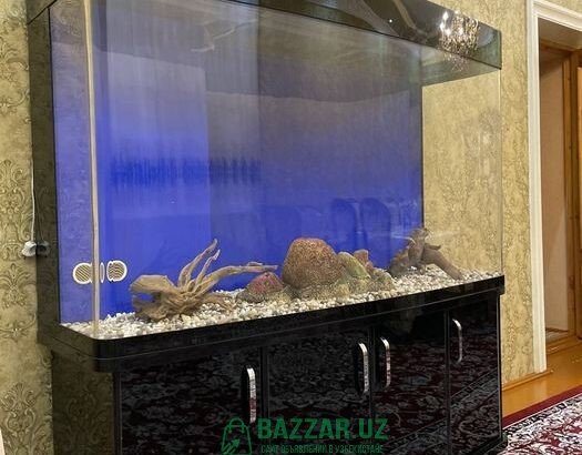 Срочно продается аквариум в идеальном состоянии 2