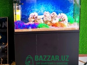 Yengi AKVARIUM SOTILADI новый аквариум 2 290 000 с