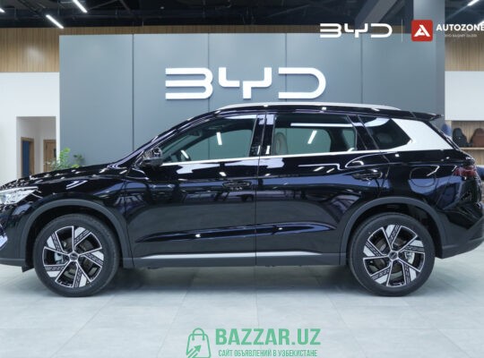 BYD Song Pro DM-i Champion (110km Flagship)