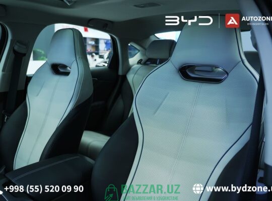 BYD Chazor Champion DM-i (120km Comfort)