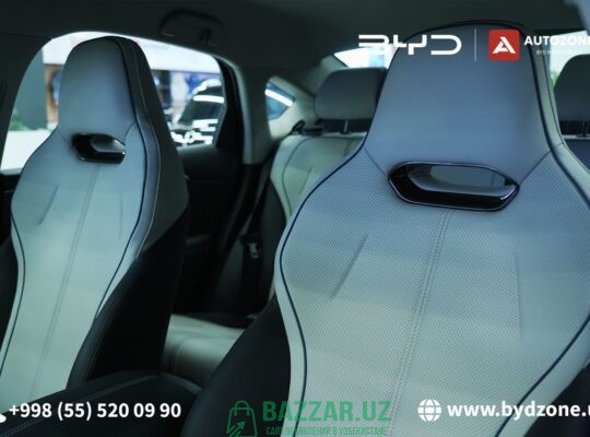 BYD Chazor Champion DM-i (120km Flagship)