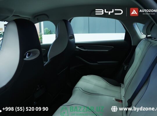 BYD Chazor Champion DM-i (120km Flagship)