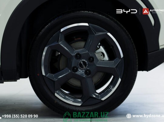 BYD Seagull 405km Flying – Офиц. дилер Яшнабад