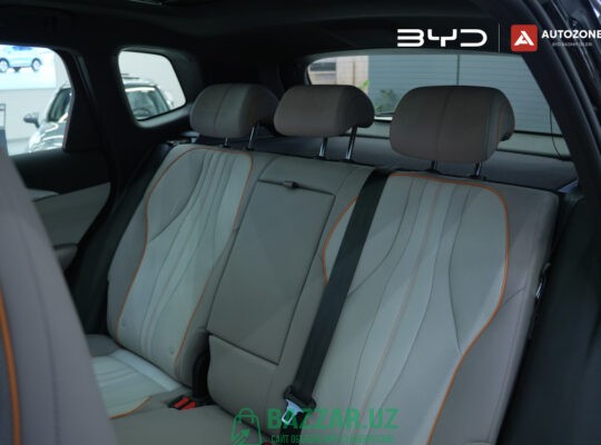 BYD Song Pro DM-i Champion (71km Flagship)