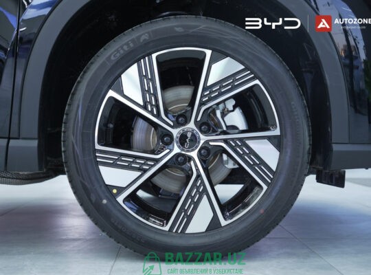 BYD Song Pro DM-i Champion (71km Flagship)