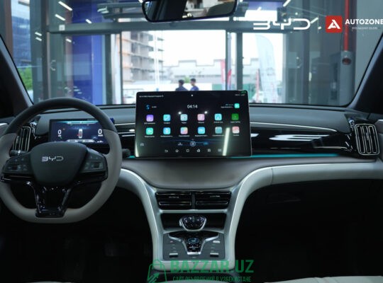 BYD Song Pro DM-i Champion (71km Flagship)